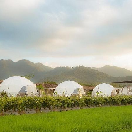 Borobudur Luxury Glamping 마겔랑 외부 사진