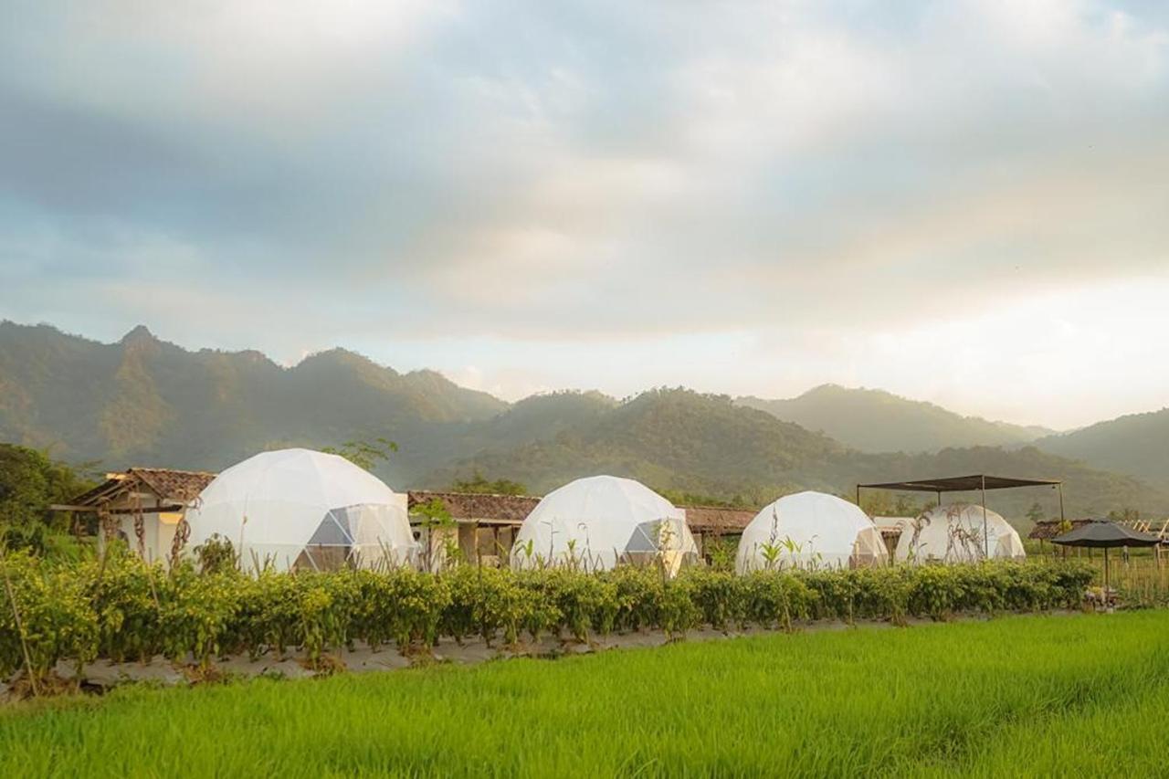 Borobudur Luxury Glamping 마겔랑 외부 사진