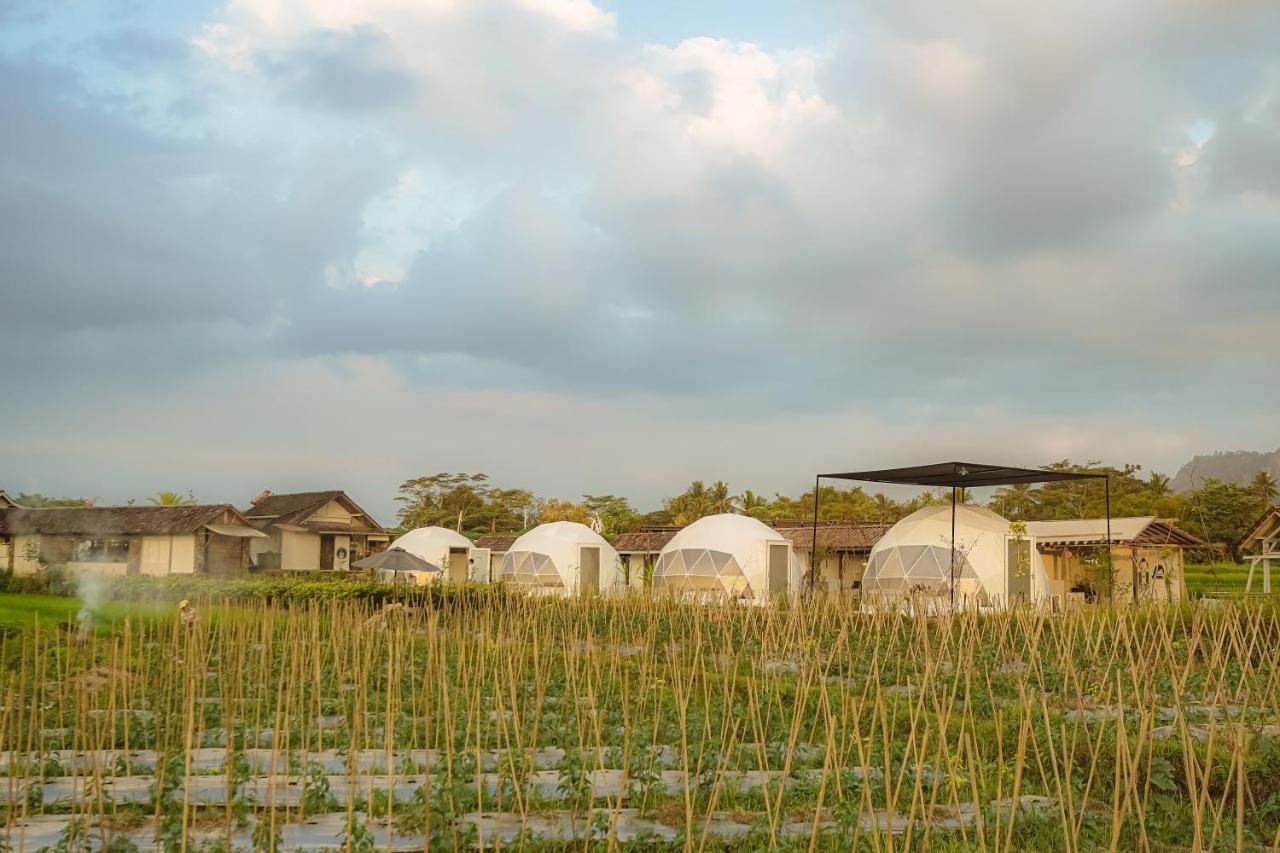 Borobudur Luxury Glamping 마겔랑 외부 사진