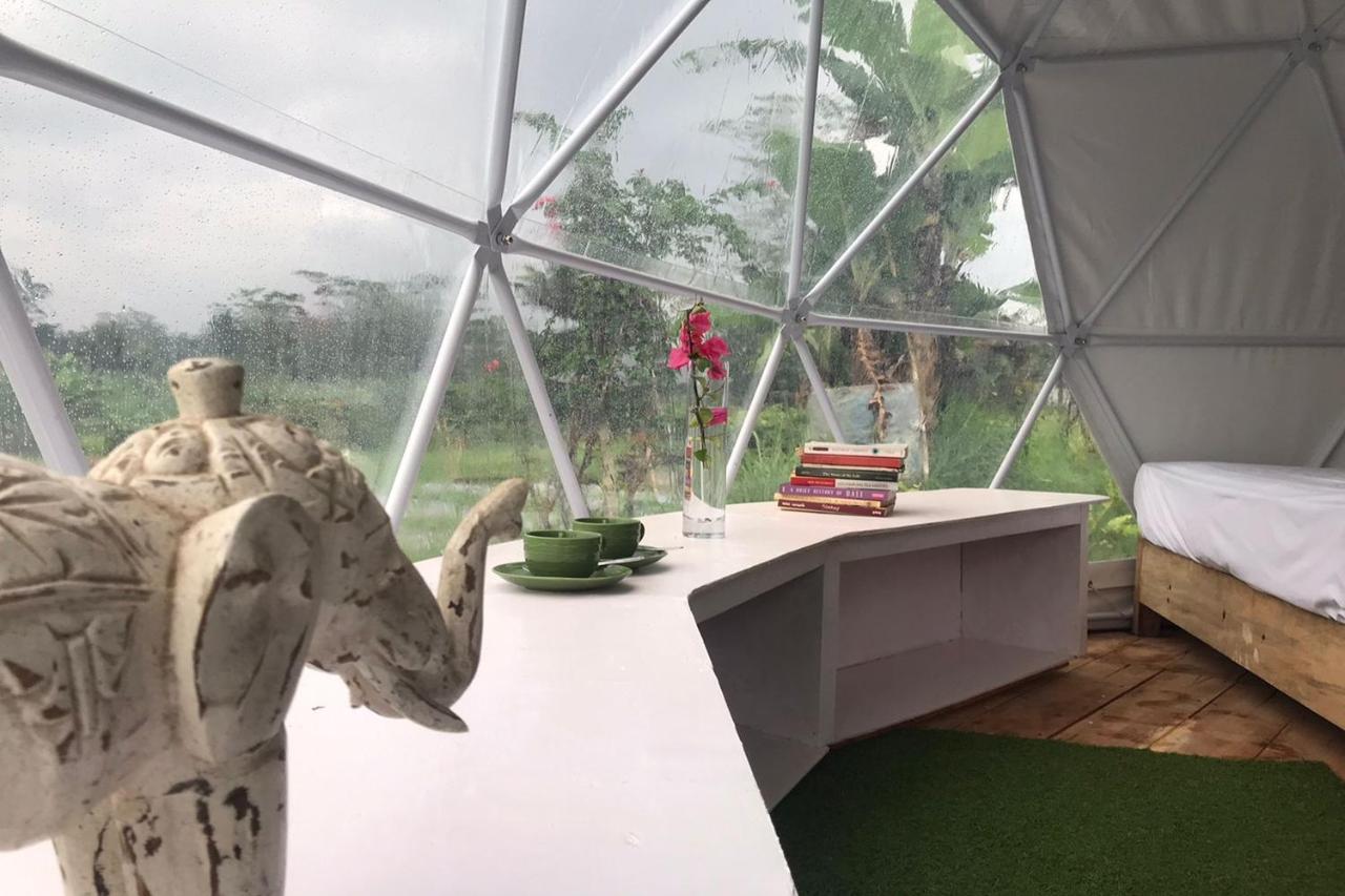 Borobudur Luxury Glamping 마겔랑 외부 사진